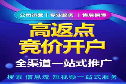 竞价开户推广成功案例解析